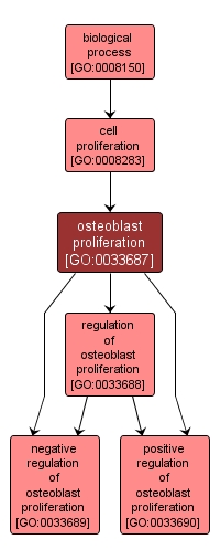 GO:0033687 - osteoblast proliferation (interactive image map)