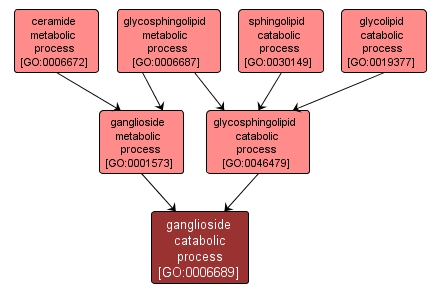 GO:0006689 - ganglioside catabolic process (interactive image map)