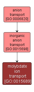 GO:0015689 - molybdate ion transport (interactive image map)
