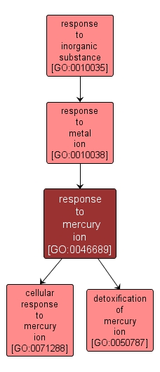 GO:0046689 - response to mercury ion (interactive image map)