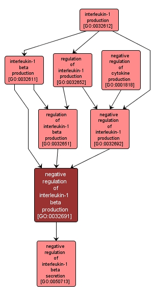 GO:0032691 - negative regulation of interleukin-1 beta production (interactive image map)