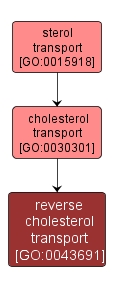 GO:0043691 - reverse cholesterol transport (interactive image map)