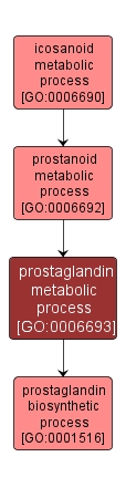 GO:0006693 - prostaglandin metabolic process (interactive image map)