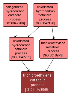 GO:0050696 - trichloroethylene catabolic process (interactive image map)