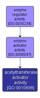 GO:0010698 - acetyltransferase activator activity (interactive image map)