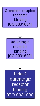 GO:0031698 - beta-2 adrenergic receptor binding (interactive image map)