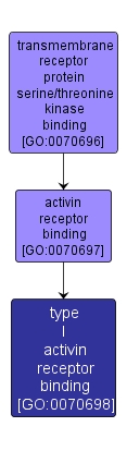 GO:0070698 - type I activin receptor binding (interactive image map)