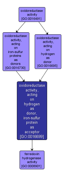 GO:0016699 - oxidoreductase activity, acting on hydrogen as donor, iron-sulfur protein as acceptor (interactive image map)