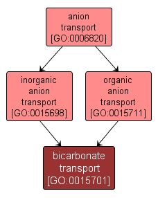 GO:0015701 - bicarbonate transport (interactive image map)