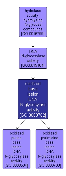 GO:0000702 - oxidized base lesion DNA N-glycosylase activity (interactive image map)