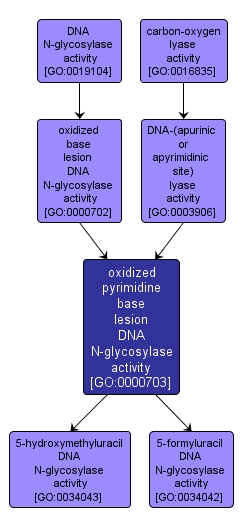 GO:0000703 - oxidized pyrimidine base lesion DNA N-glycosylase activity (interactive image map)