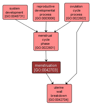 GO:0042703 - menstruation (interactive image map)