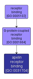 GO:0031704 - apelin receptor binding (interactive image map)