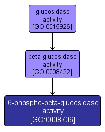 GO:0008706 - 6-phospho-beta-glucosidase activity (interactive image map)