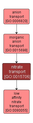 GO:0015706 - nitrate transport (interactive image map)