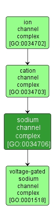 GO:0034706 - sodium channel complex (interactive image map)