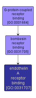 GO:0031707 - endothelin A receptor binding (interactive image map)