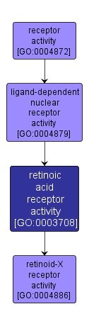 GO:0003708 - retinoic acid receptor activity (interactive image map)