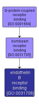 GO:0031708 - endothelin B receptor binding (interactive image map)