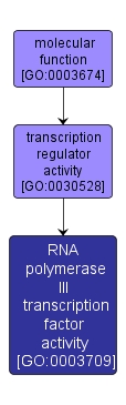 GO:0003709 - RNA polymerase III transcription factor activity (interactive image map)