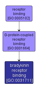GO:0031711 - bradykinin receptor binding (interactive image map)