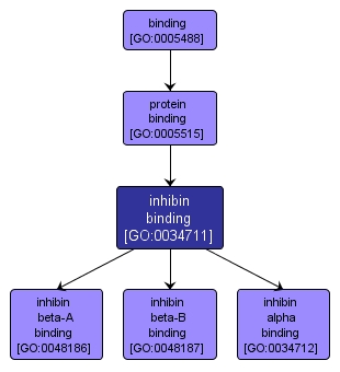GO:0034711 - inhibin binding (interactive image map)