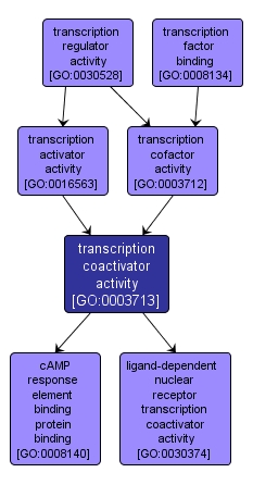 GO:0003713 - transcription coactivator activity (interactive image map)