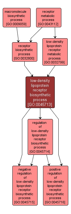 GO:0045713 - low-density lipoprotein receptor biosynthetic process (interactive image map)