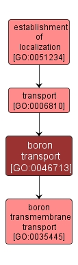 GO:0046713 - boron transport (interactive image map)