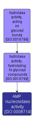 GO:0008714 - AMP nucleosidase activity (interactive image map)