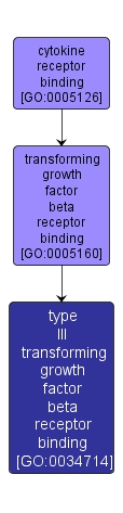 GO:0034714 - type III transforming growth factor beta receptor binding (interactive image map)