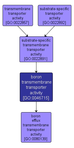 GO:0046715 - boron transmembrane transporter activity (interactive image map)