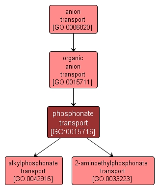 GO:0015716 - phosphonate transport (interactive image map)