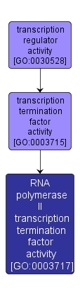 GO:0003717 - RNA polymerase II transcription termination factor activity (interactive image map)