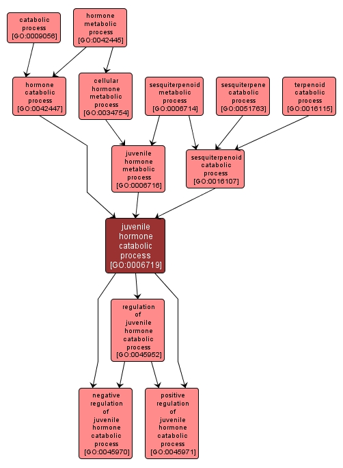 GO:0006719 - juvenile hormone catabolic process (interactive image map)