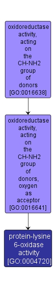 GO:0004720 - protein-lysine 6-oxidase activity (interactive image map)