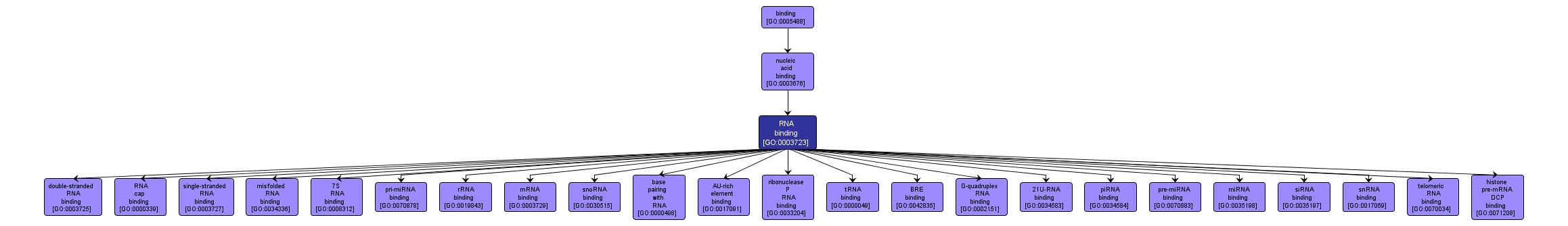 GO:0003723 - RNA binding (interactive image map)