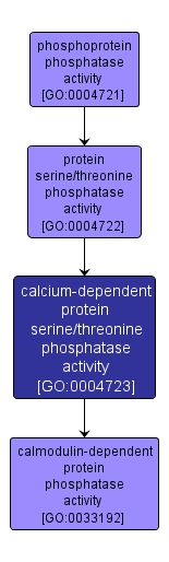 GO:0004723 - calcium-dependent protein serine/threonine phosphatase activity (interactive image map)