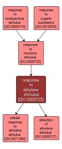 GO:0009723 - response to ethylene stimulus (interactive image map)