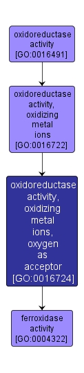 GO:0016724 - oxidoreductase activity, oxidizing metal ions, oxygen as acceptor (interactive image map)