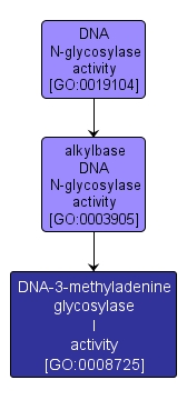 GO:0008725 - DNA-3-methyladenine glycosylase I activity (interactive image map)