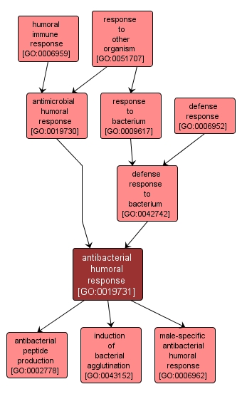 GO:0019731 - antibacterial humoral response (interactive image map)