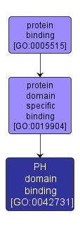 GO:0042731 - PH domain binding (interactive image map)