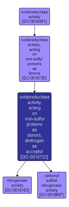 GO:0016732 - oxidoreductase activity, acting on iron-sulfur proteins as donors, dinitrogen as acceptor (interactive image map)