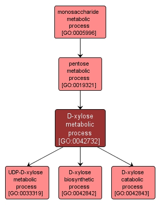 GO:0042732 - D-xylose metabolic process (interactive image map)