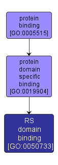 GO:0050733 - RS domain binding (interactive image map)