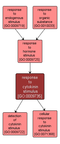GO:0009735 - response to cytokinin stimulus (interactive image map)