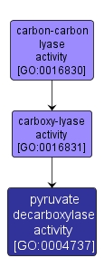GO:0004737 - pyruvate decarboxylase activity (interactive image map)