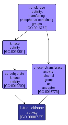 GO:0008737 - L-fuculokinase activity (interactive image map)