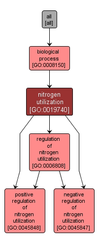 GO:0019740 - nitrogen utilization (interactive image map)